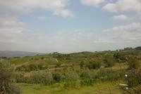 09.10.2014 Weingut bei Empoli