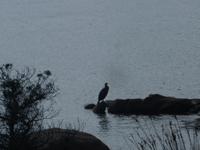 Wanderung Costa Smeralda 