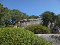 auf der Caprera Insel von G.Garibaldi 