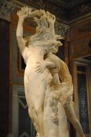 Bernini - Apollo und Daphne