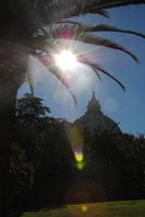 Vatikanische Gärten