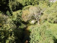 Hochebene von Pantálica - Flusslauf