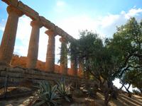 Agrigent - Tal der Tempel