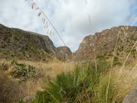 Wanderung im Naturreservat Zingaro