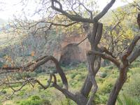 Grotta Mastro Peppe Siino