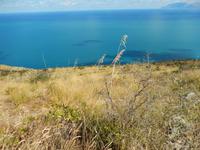 Wanderung im Naturreservat Zingaro