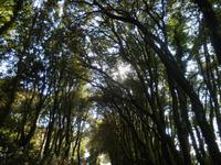 Wanderung Abstieg Erice