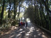 Wanderung Abstieg Erice