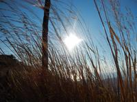 Wanderung Abstieg Erice