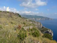 Cilento, Blick auf die Steilküste bei Palinuro