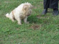 Cilento, P=aestum, Begleiter unserer Gruppe