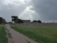 Cilento, Paestum, Blick zum Poseidon Tempel