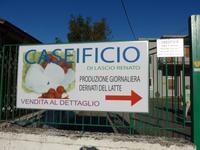 Cilento, Mozarella-Käserei