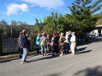 Cilento, beim Olivenbauern Radano