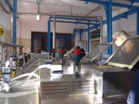 Cilente, moderne Ölpresse bei Radano