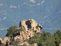 Calanche - Schildkröte