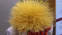 Ein Igel! Ach nein.. Kunst aus Spaghetti