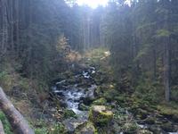 unterhalb des Gollinger Wasserfalls