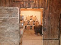 Besuch in der Grappa Distilleria Marzadro