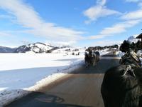 Pferdeschlittenfahrt auf der Seiser Alm