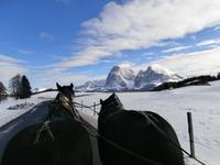Pferdeschlittenfahrt auf der Seiser Alm