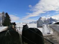 Pferdeschlittenfahrt auf der Seiser Alm