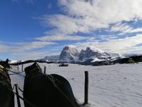 Pferdeschlittenfahrt auf der Seiser Alm