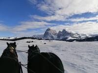 Pferdeschlittenfahrt auf der Seiser Alm