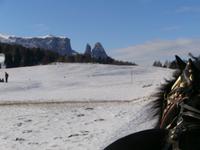 Pferdeschlittenfahrt auf der Seiser Alm-Schlern