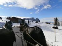 Pferdeschlittenfahrt auf der Seiser Alm-Schlern