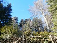 unterwegs auf dem Mendelpass