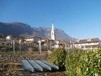 Kaltern-Blick zur Mendel