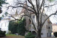 Landesfürstliche Burg in Meran