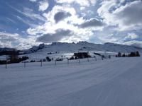 Seiser Alm Südtirol