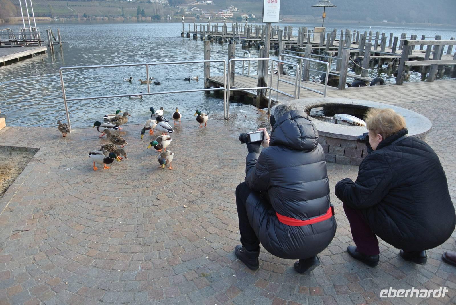 Entenfüttern am Kalterer See 