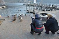 Entenfüttern am Kalterer See 