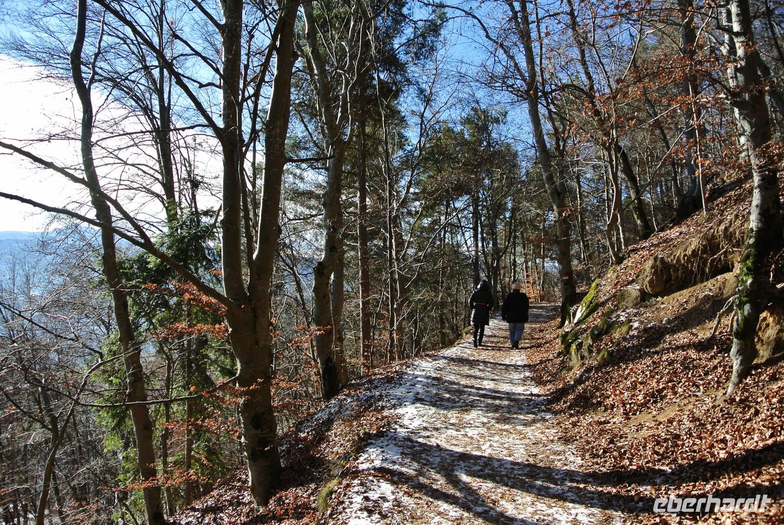 Panoramaweg auf dem Ritten
