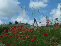 Chianti Weinwanderung