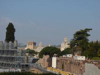 Blick aus dem Colosseum // Rom
