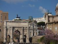 Frühling im Forum Romanum // Rom