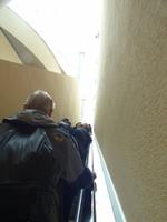 in den Vatikanischen Museen