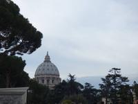 in den Vatikanischen Museen