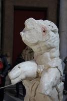 in den vatikanischen Museen - der Torso von Belvedere
