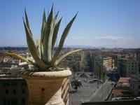 Blick auf die Piazza Risorgimento