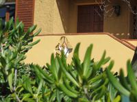 Wanderung nach San Pantaleo