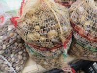 Spezialität aus Tempio