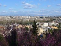 Blick auf Rom vom Gianicolo