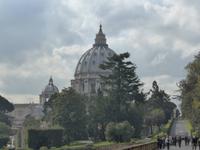 Blick auf Kuppel Petersdom von Vatikanischen Gärten aus