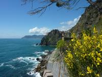 In der Cinque Terre