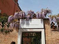 Portal Peggy Guggenheim Venedig